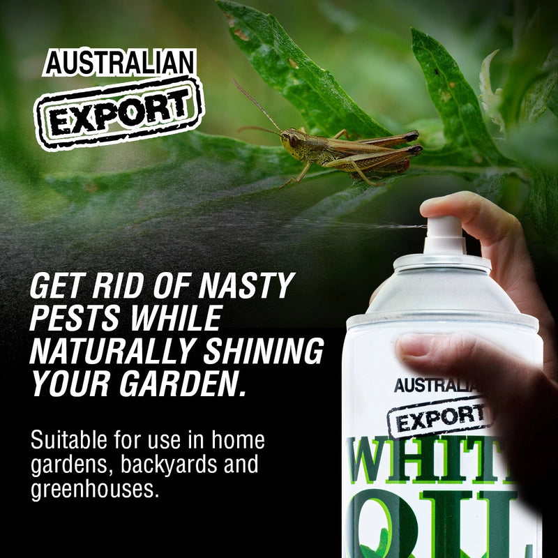 Australian Export 12 Cans White Oil Plant Insecticide Spray All Natural 400gm | EX1001 - South East Clearance Centre