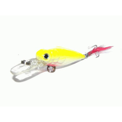 Kamikaze Hard Body Lures and Bag - Shallow Diver D - South East Clearance Centre