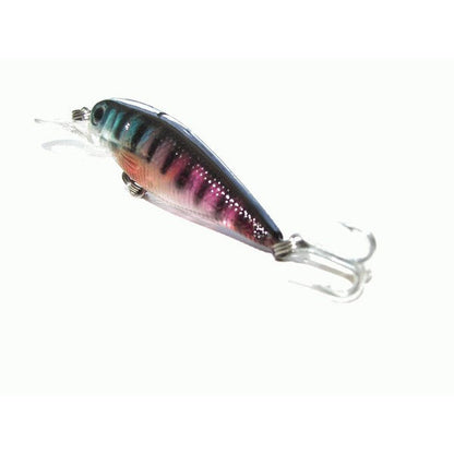 Kamikaze Hard Body Lures and Bag - Shallow Diver D - South East Clearance Centre