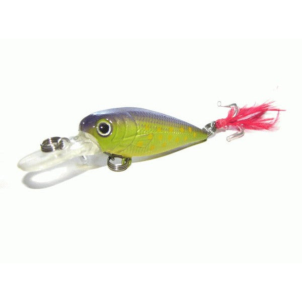 Kamikaze Hard Body Lures and Bag - Shallow Diver D - South East Clearance Centre