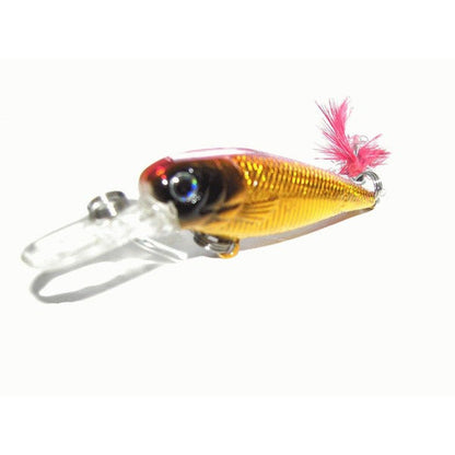 Kamikaze Hard Body Lures and Bag - Shallow Diver E - South East Clearance Centre