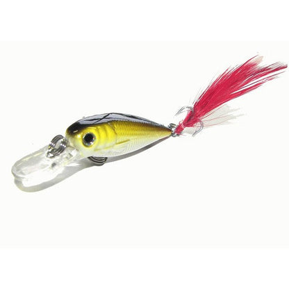 LUCINDA - Kamikaze 4 pack with Lure Bag - South East Clearance Centre