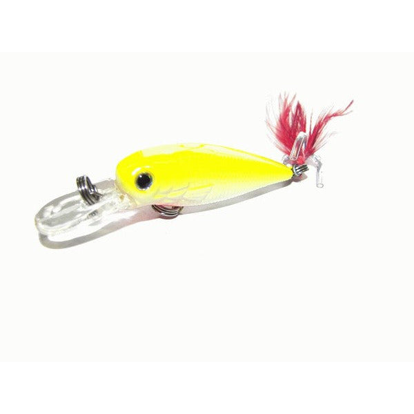 LUCINDA - Kamikaze 4 pack with Lure Bag - South East Clearance Centre