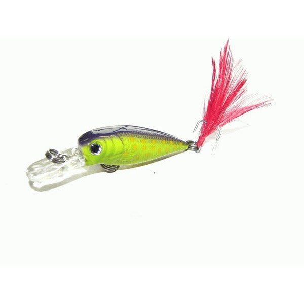 LUCINDA - Kamikaze 4 pack with Lure Bag - South East Clearance Centre